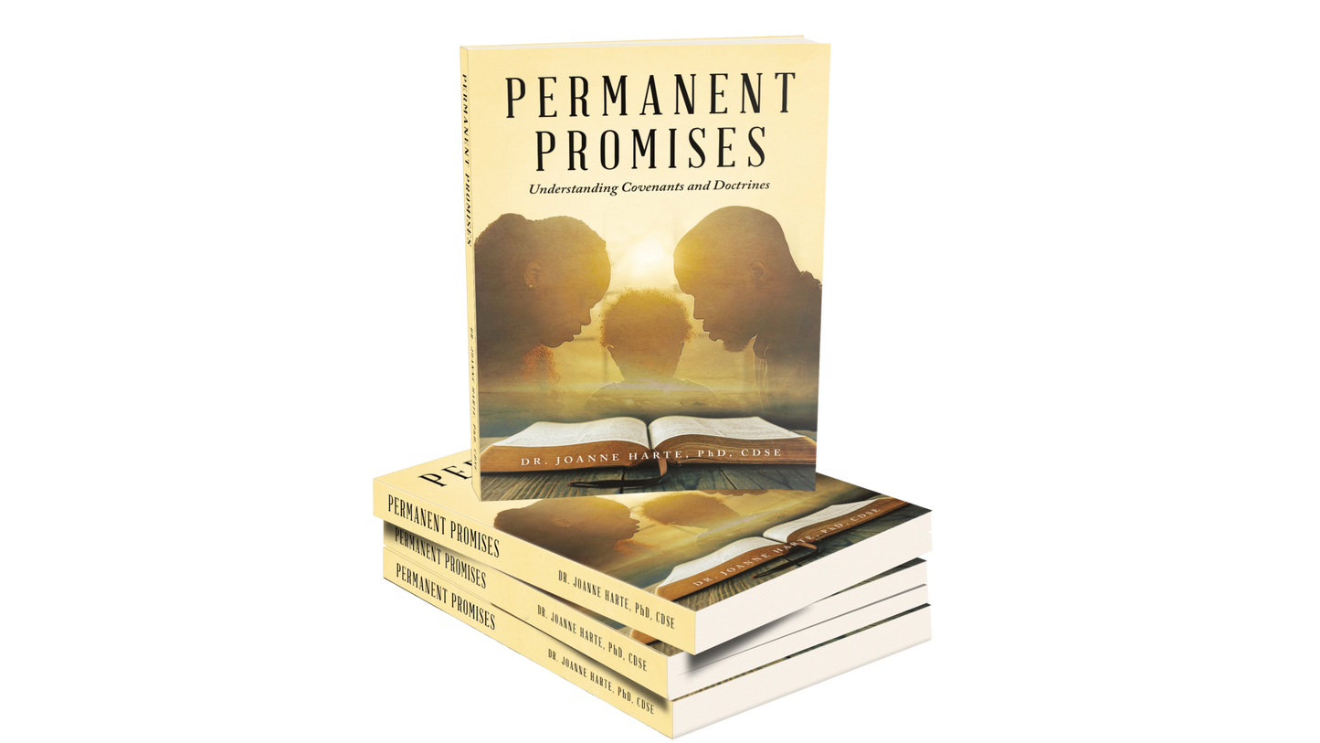 Permanent Promises Book