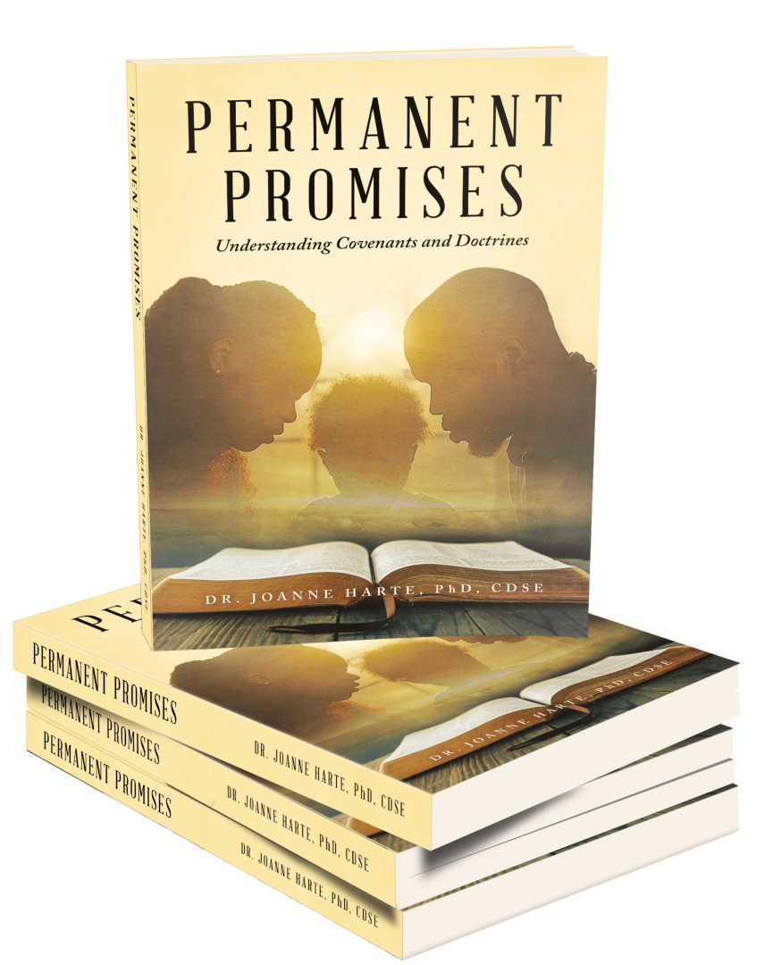 Permanent Promises Book