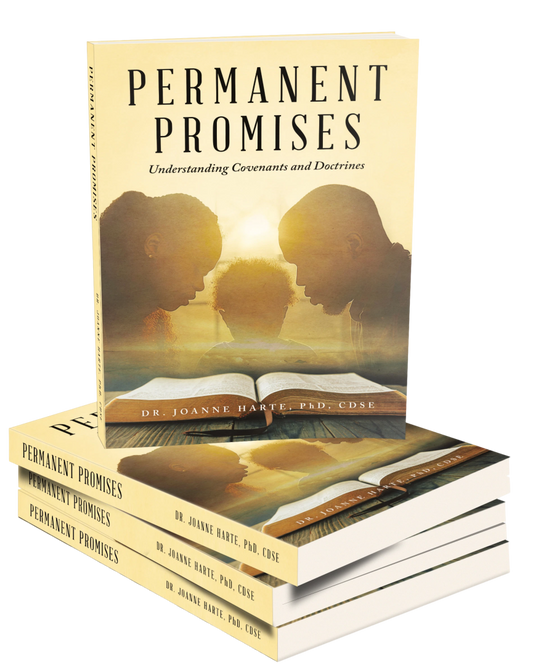 Permanent Promises Book